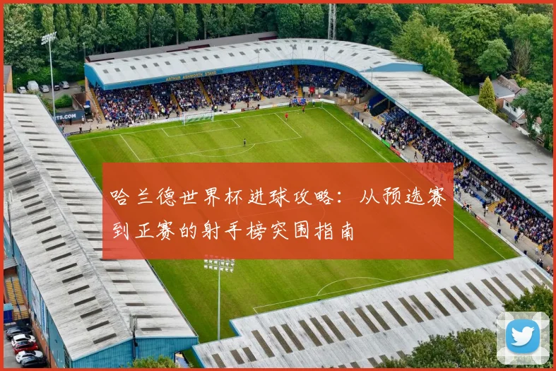 哈兰德世界杯进球攻略:从预选赛到正赛的射手榜突围指南